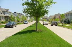 Streetscaping in North Richland Hills